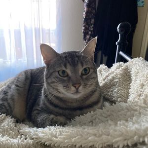 Meet your Posher, Caroline